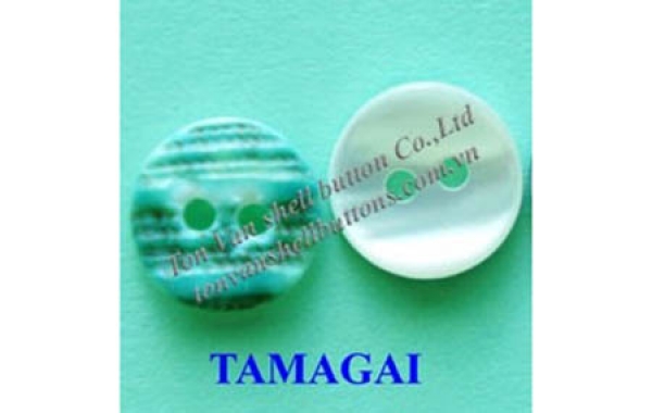 Nút áo Tamagai - Nút Áo Tôn Văn